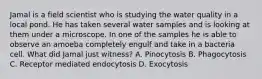 Jamal is a field scientist who is studying the water quality in a local pond. He has taken several water samples and is looking at them under a microscope. In one of the samples he is able to observe an amoeba completely engulf and take in a bacteria cell. What did Jamal just witness? A. Pinocytosis B. Phagocytosis C. Receptor mediated endocytosis D. Exocytosis