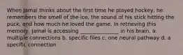 When Jamal thinks about the first time he played hockey, he remembers the smell of the ice, the sound of his stick hitting the puck, and how much he loved the game. In retrieving this memory, Jamal is accessing _______________ in his brain. a. multiple connections b. specific files c. one neural pathway d. a specific connection