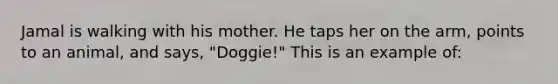 Jamal is walking with his mother. He taps her on the arm, points to an animal, and says, "Doggie!" This is an example of: