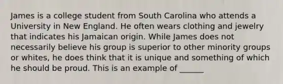 James is a college student from South Carolina who attends a University in New England. He often wears clothing and jewelry that indicates his Jamaican origin. While James does not necessarily believe his group is superior to other minority groups or whites, he does think that it is unique and something of which he should be proud. This is an example of ______