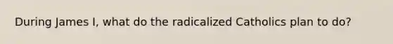 During James I, what do the radicalized Catholics plan to do?