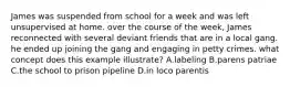 James was suspended from school for a week and was left unsupervised at home. over the course of the week, James reconnected with several deviant friends that are in a local gang. he ended up joining the gang and engaging in petty crimes. what concept does this example illustrate? A.labeling B.parens patriae C.the school to prison pipeline D.in loco parentis