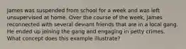 James was suspended from school for a week and was left unsupervised at home. Over the course of the week, James reconnected with several deviant friends that are in a local gang. He ended up joining the gang and engaging in petty crimes. What concept does this example illustrate?