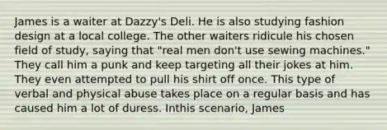 James is a waiter at Dazzy's Deli. He is also studying fashion design at a local college. The other waiters ridicule his chosen field of study, saying that "real men don't use sewing machines." They call him a punk and keep targeting all their jokes at him. They even attempted to pull his shirt off once. This type of verbal and physical abuse takes place on a regular basis and has caused him a lot of duress. Inthis scenario, James