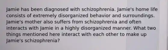 Jamie has been diagnosed with schizophrenia. Jamie's home life consists of extremely disorganized behavior and surroundings. Jamie's mother also suffers from schizophrenia and often interacts with Jamie in a highly disorganized manner. What two things mentioned here interact with each other to make up Jamie's schizophrenia?