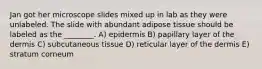 Jan got her microscope slides mixed up in lab as they were unlabeled. The slide with abundant adipose tissue should be labeled as the ________. A) epidermis B) papillary layer of the dermis C) subcutaneous tissue D) reticular layer of the dermis E) stratum corneum