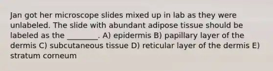 Jan got her microscope slides mixed up in lab as they were unlabeled. The slide with abundant adipose tissue should be labeled as the ________. A) epidermis B) papillary layer of the dermis C) subcutaneous tissue D) reticular layer of the dermis E) stratum corneum