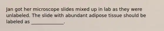 Jan got her microscope slides mixed up in lab as they were unlabeled. The slide with abundant adipose tissue should be labeled as ______________.