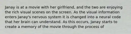 Janay is at a movie with her girlfriend, and the two are enjoying the rich visual scenes on the screen. As the visual information enters Janay's nervous system it is changed into a neural code that her brain can understand. As this occurs, Janay starts to create a memory of the movie through the process of