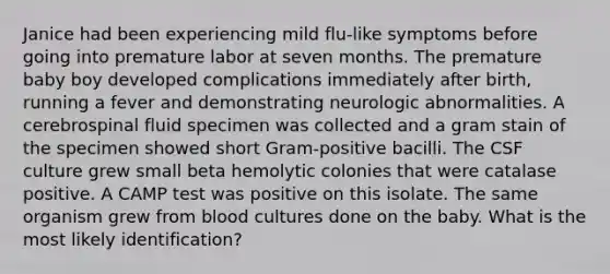 Janice had been experiencing mild flu-like symptoms before going into premature labor at seven months. The premature baby boy developed complications immediately after birth, running a fever and demonstrating neurologic abnormalities. A cerebrospinal fluid specimen was collected and a gram stain of the specimen showed short Gram-positive bacilli. The CSF culture grew small beta hemolytic colonies that were catalase positive. A CAMP test was positive on this isolate. The same organism grew from blood cultures done on the baby. What is the most likely identification?