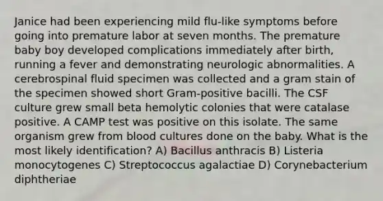 Janice had been experiencing mild flu-like symptoms before going into premature labor at seven months. The premature baby boy developed complications immediately after birth, running a fever and demonstrating neurologic abnormalities. A cerebrospinal fluid specimen was collected and a gram stain of the specimen showed short Gram-positive bacilli. The CSF culture grew small beta hemolytic colonies that were catalase positive. A CAMP test was positive on this isolate. The same organism grew from blood cultures done on the baby. What is the most likely identification? A) Bacillus anthracis B) Listeria monocytogenes C) Streptococcus agalactiae D) Corynebacterium diphtheriae