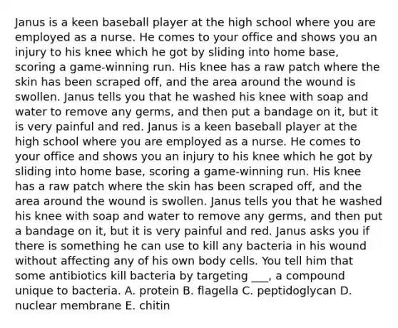 Janus is a keen baseball player at the high school where you are employed as a nurse. He comes to your office and shows you an injury to his knee which he got by sliding into home base, scoring a game-winning run. His knee has a raw patch where the skin has been scraped off, and the area around the wound is swollen. Janus tells you that he washed his knee with soap and water to remove any germs, and then put a bandage on it, but it is very painful and red. Janus is a keen baseball player at the high school where you are employed as a nurse. He comes to your office and shows you an injury to his knee which he got by sliding into home base, scoring a game-winning run. His knee has a raw patch where the skin has been scraped off, and the area around the wound is swollen. Janus tells you that he washed his knee with soap and water to remove any germs, and then put a bandage on it, but it is very painful and red. Janus asks you if there is something he can use to kill any bacteria in his wound without affecting any of his own body cells. You tell him that some antibiotics kill bacteria by targeting ___, a compound unique to bacteria. A. protein B. flagella C. peptidoglycan D. nuclear membrane E. chitin