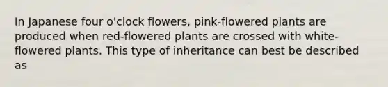 In Japanese four o'clock flowers, pink-flowered plants are produced when red-flowered plants are crossed with white-flowered plants. This type of inheritance can best be described as