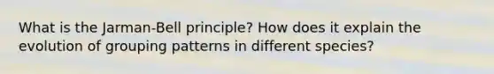 What is the Jarman-Bell principle? How does it explain the evolution of grouping patterns in different species?