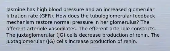 Jasmine has high blood pressure and an increased glomerular filtration rate (GFR). How does the tubuloglomerular feedback mechanism restore normal pressure in her glomerulus? The afferent arteriole vasodilates. The efferent arteriole constricts. The juxtaglomerular (JG) cells decrease production of renin. The juxtaglomerular (JG) cells increase production of renin.