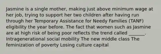 Jasmine is a single mother, making just above minimum wage at her job, trying to support her two children after having run through her Temporary Assistance for Needy Families (TANF) eligibility the year before. The fact that women such as Jasmine are at high risk of being poor reflects the trend called _______. Intragenerational social mobility The new middle class The feminization of poverty Losing culture capital