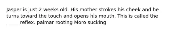 Jasper is just 2 weeks old. His mother strokes his cheek and he turns toward the touch and opens his mouth. This is called the _____ reflex. palmar rooting Moro sucking