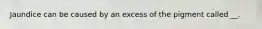 Jaundice can be caused by an excess of the pigment called __.