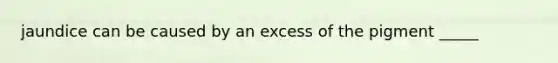 jaundice can be caused by an excess of the pigment _____