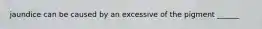 jaundice can be caused by an excessive of the pigment ______