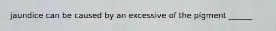 jaundice can be caused by an excessive of the pigment ______