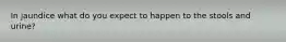 In jaundice what do you expect to happen to the stools and urine?