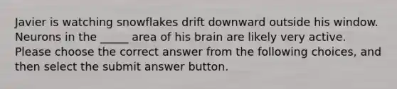 Javier is watching snowflakes drift downward outside his window. Neurons in the _____ area of his brain are likely very active. Please choose the correct answer from the following choices, and then select the submit answer button.