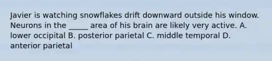 Javier is watching snowflakes drift downward outside his window. Neurons in the _____ area of his brain are likely very active. A. lower occipital B. posterior parietal C. middle temporal D. anterior parietal