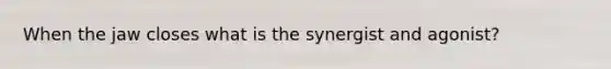 When the jaw closes what is the synergist and agonist?