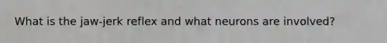 What is the jaw-jerk reflex and what neurons are involved?