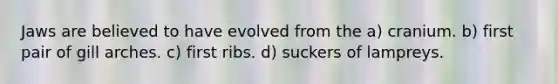 Jaws are believed to have evolved from the a) cranium. b) first pair of gill arches. c) first ribs. d) suckers of lampreys.
