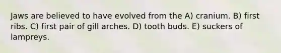 Jaws are believed to have evolved from the A) cranium. B) first ribs. C) first pair of gill arches. D) tooth buds. E) suckers of lampreys.