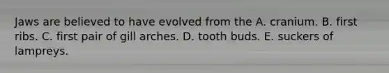 Jaws are believed to have evolved from the A. cranium. B. first ribs. C. first pair of gill arches. D. tooth buds. E. suckers of lampreys.