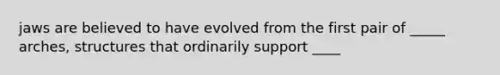 jaws are believed to have evolved from the first pair of _____ arches, structures that ordinarily support ____