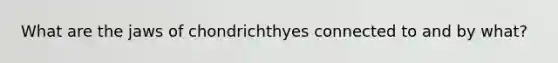 What are the jaws of chondrichthyes connected to and by what?