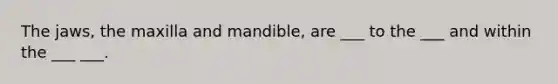 The jaws, the maxilla and mandible, are ___ to the ___ and within the ___ ___.