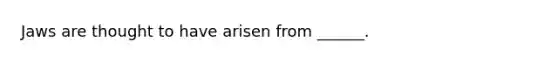 Jaws are thought to have arisen from ______.