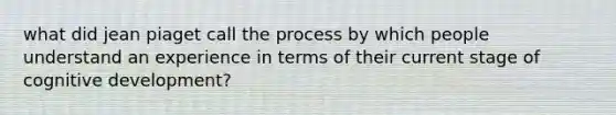 what did jean piaget call the process by which people understand an experience in terms of their current stage of cognitive development?