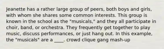 Jeanette has a rather large group of peers, both boys and girls, with whom she shares some common interests. This group is known in the school as the "musicals," and they all participate in choir, band, or orchestra. They frequently get together to play music, discuss performances, or just hang out. In this example, the "musicals" are a ____. ​crowd ​clique ​gang ​mash-up