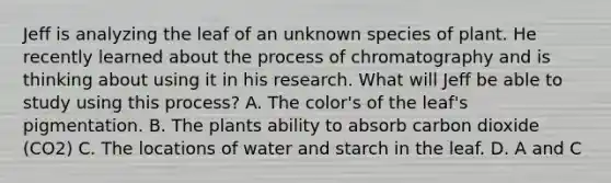 Jeff is analyzing the leaf of an unknown species of plant. He recently learned about the process of chromatography and is thinking about using it in his research. What will Jeff be able to study using this process? A. The color's of the leaf's pigmentation. B. The plants ability to absorb carbon dioxide (CO2) C. The locations of water and starch in the leaf. D. A and C