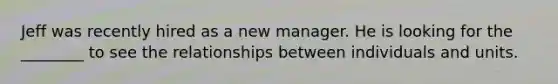 Jeff was recently hired as a new manager. He is looking for the ________ to see the relationships between individuals and units.