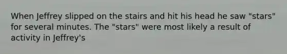 When Jeffrey slipped on the stairs and hit his head he saw "stars" for several minutes. The "stars" were most likely a result of activity in Jeffrey's