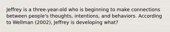 Jeffrey is a three-year-old who is beginning to make connections between people's thoughts, intentions, and behaviors. According to Wellman (2002), Jeffrey is developing what?