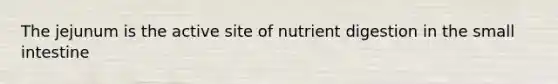 The jejunum is the active site of nutrient digestion in the small intestine