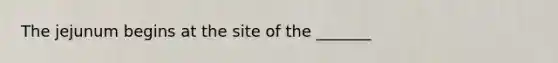 The jejunum begins at the site of the _______