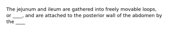 The jejunum and ileum are gathered into freely movable loops, or ____, and are attached to the posterior wall of the abdomen by the ____