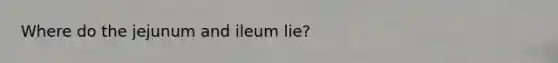 Where do the jejunum and ileum lie?