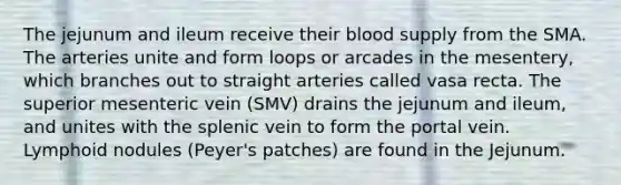 The jejunum and ileum receive their blood supply from the SMA. The arteries unite and form loops or arcades in the mesentery, which branches out to straight arteries called vasa recta. The superior mesenteric vein (SMV) drains the jejunum and ileum, and unites with the splenic vein to form the portal vein. Lymphoid nodules (Peyer's patches) are found in the Jejunum.