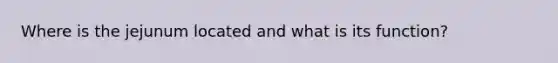 Where is the jejunum located and what is its function?