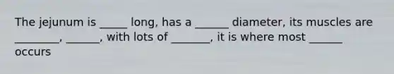 The jejunum is _____ long, has a ______ diameter, its muscles are ________, ______, with lots of _______, it is where most ______ occurs